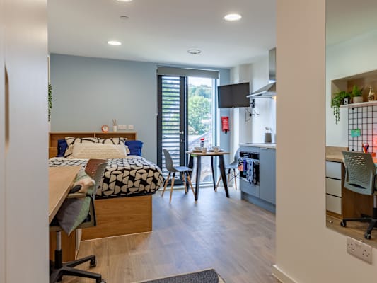 Bronze Plus Studio room type